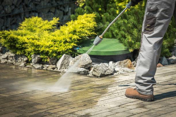 Best Roof Washing  in Port St Lucie, FL